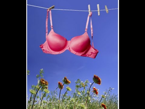 bra sheer