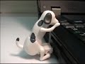 Humping Dog -New Episode-
