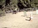 retraining perfect image