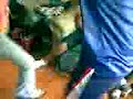 Io BaIlAnDo rEgGaEtOn cOn YaCkY