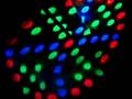 Chauvet LX5