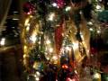 christmas 2008 002.avi