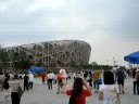 On the Olympic Green
