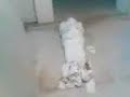 Pochong Under Void Deck