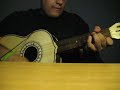 Vihuela (Me Haces Falta) Mariachi Vargas !! By Request !!
