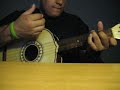 Vihuela (Me Haces Falta) Mariachi Vargas !! By Request !!