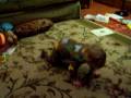 videos de 2008 Jack Spinning.MOV