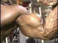 MostMuscular-Com-Dav