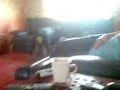 Queenie - Rotty