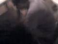 videos de 28-12-08 0050