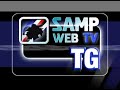 Web TG del 25 agosto 2008