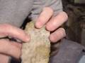 Florida Coral Newnan Part 4 of 5