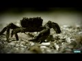 Voltaj – Mi-e dor de  Full HD