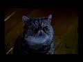 funny-foreign-candy-bar-commercial.html