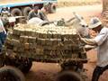 videos de Brick kiln donkeys in Egypt