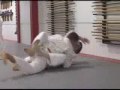 York Academy of Martial Arts Resources.flv