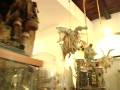 videos de Omaggio a Giuseppe Ferrigno - San Gregorio Armeno ed i suoi pastori