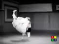 kyuzo mifune   judo