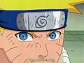 Naruto - The Chunin Exams - Preliminaries