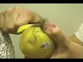 griffshow: balltrimmer 2000