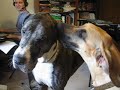 Bess Cleaning Heffner\ Bess Cleaning Heffner\