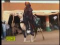 Niger Tenere dance
