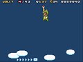 Secret Dialog in Super Mario 3