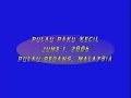 scuba diving in pulau redang malaysia