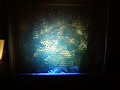 virtualAquarium.MOV