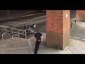 the best of parkour !!!