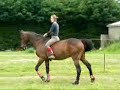 Eider le 22 mai a cru