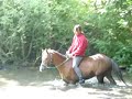 Gil auf Caspari im See