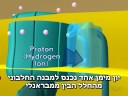 ATP gradient with hebrew subtitles
