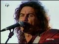 Luciano Ligabue - Tra palco e realtà Luciano Ligabue - Tra palco e realtà