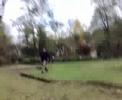Janik i monachijskie żyrafy part.1