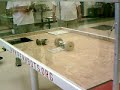 Pennbots