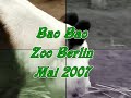 Bao Bao Zoo Berlin