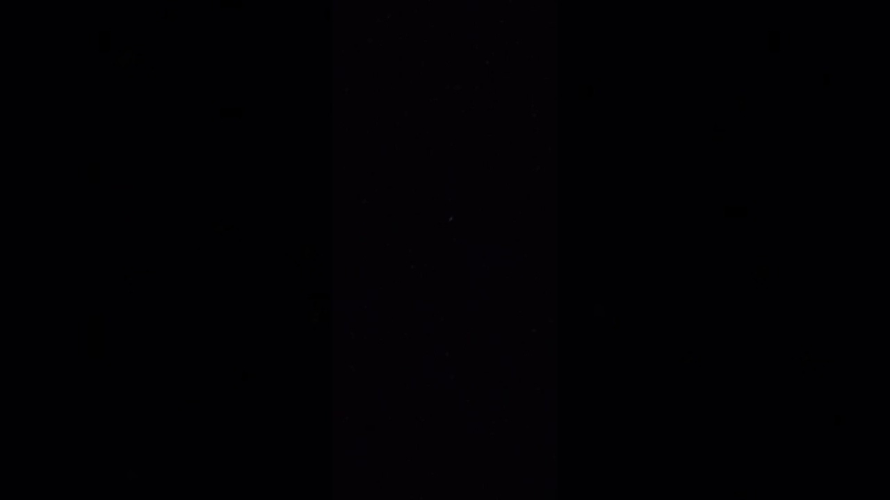 halleujah,what would Jesus do. Jamal.chop.hunt