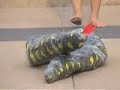 peru   el baile de la anaconda