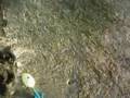videos de Stanleyy