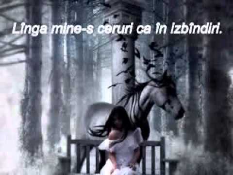 Daniel-Dumitru Darie - Ascundere în infinit
