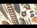 Birdsong in Messiaen