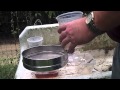 Checking a Spotted Wing Drosophila Trap