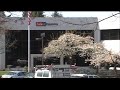 Body Shops Speak Out About Safeco