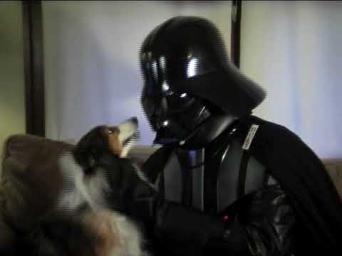 Chad Vader Consoles Injured Fan