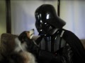 Chad Vader Consoles Injured Fan