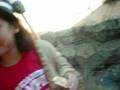videos de trip to the zoo! pt.1