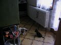 yuchi e cora yuchi e cora