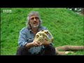BBC: Finely Tuned Assassin - Science of Walking With Beasts BBC: Finely Tuned Assassin - Science of Walking With Beasts