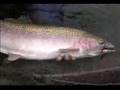 Grande Ronde with Mike Dickson
